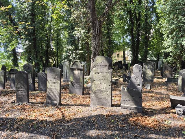 Stary cmentarz żydowski