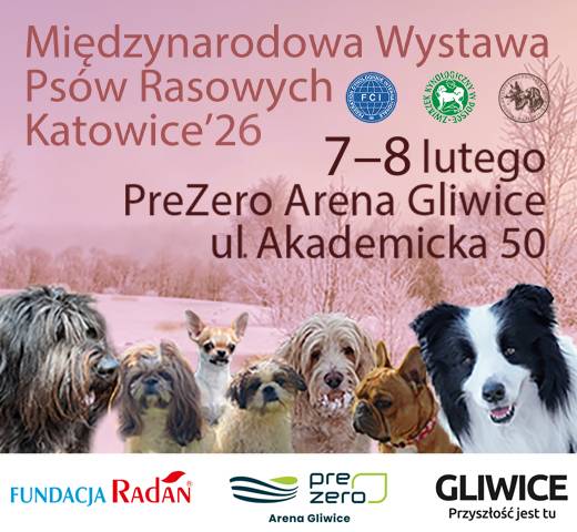 Międzynarodowa Wystawa Psów Rasowych w Gliwicach