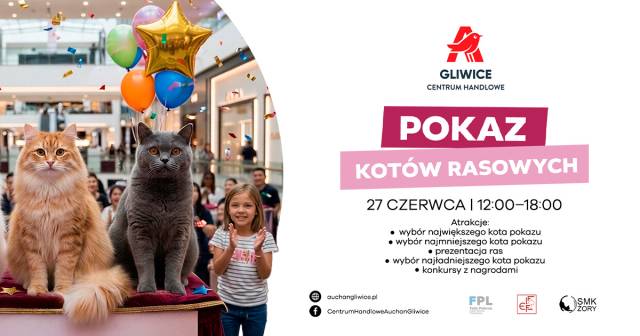 Pokaz kotów rasowych 