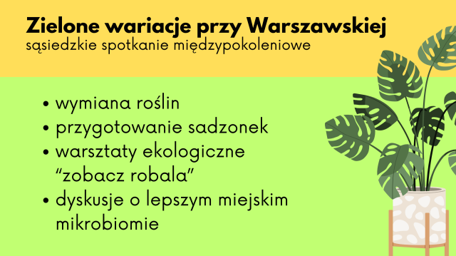 Zielone wariacje przy Warszawskiej 